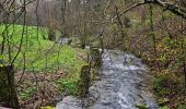 Trail Walking Soultz-Haut-Rhin - Rando Marcheurs..04/04_2025 - Photo 3