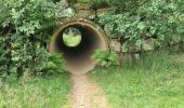 Trail Walking Malmedy - 20200715 - Photo 1