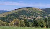 Randonnée Marche Storckensohn - 2022-07-16 Marche Auberge Gazon Vert Chapelle des Ves - Photo 1