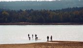 Tour Zu Fuß Absberg - Fränkisches Seenland 132 - Photo 9