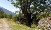 Percorso Marcia Plan - Saravillo Badain - Photo 19
