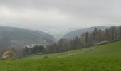 Randonnée Marche Daun - Les 3 Maars de Daun (Eifel) - Photo 8