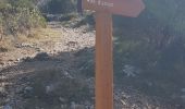 Trail Walking Nice - Vinaigrier Mont Bastide - Photo 3