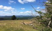 Randonnée Marche Les Plans - Forêt domaniale d'Escandorgue par Roqueredonde et l'Engayresque - Photo 18