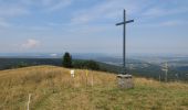 Tocht Te voet Gersfeld - Rhön-Rundweg 2 Dalherda - Photo 6