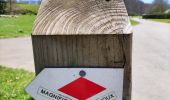 Randonnée Marche Clavier - La promenade du Magnifique Hoyoux  - Photo 6