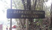 Excursión Senderismo La Trinité - Cosmy - Bois Jadé - Merveilleux en boucle  - Photo 8