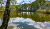 Tour Zu Fuß Unbekannt - Dünenweg [Boberger Niederung] - Photo 9