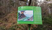 Trail Walking Barr - Barr - sentier géologique - Landsberg - kiosque du Jadelot - Photo 6