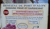 Tour Zu Fuß Saint-Cyr-sur-Mer - Sentier du littoral (Saint-Cyr-sur-Mer) - Photo 5