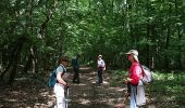 Trail Walking Bouilly - 12/06 /2020 commetruil  - Photo 2