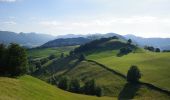 Tocht Te voet Holderbank (SO) - Bereten Linde - Mümliswil - Photo 2