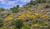 Randonnée Marche Montferrat - Favas - Bories - Pierrepont - Photo 12