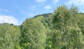 Tour Wandern Miazzina - 18.06.2023 - Miazzina - Le Lac Majeur et ses alpages - Photo 18