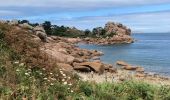 Trail Walking Perros-Guirec - Perros-Guirec / Tregastel - Photo 8