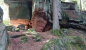 Randonnée Marche Münchweiler an der Rodalb - Felsenwald - Photo 5