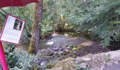 Tour Wandern Vic-sur-Cère - pas de cere - Photo 8