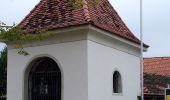 Tour Zu Fuß Sankt Stefan ob Stainz - GenussSchilchern da Mittlere Runde - Photo 4