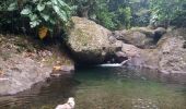 Tocht Stappen Vieux-Habitants - Cascade de Beaugendre - Photo 7