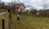 Percorso Marcia Le Ménil - Grande boucle au départ des chalets de la Feigne sur de l'Eau - Photo 1