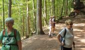 Excursión Senderismo Roppeviller - Roppewiler Rochers altschlossfelsen et Diane - Photo 18