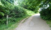 Tocht Te voet South Hams - Greenway Walk - Photo 4