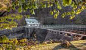 Tour Zu Fuß Freyung - Rundwanderweg Nr. 1 Saußbach - Ahornöd - Photo 9