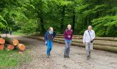 Tour Wandern Saint-Hubert - Awenne - Photo 12