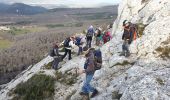 Tour Wandern Plan-d'Aups-Sainte-Baume - La Sainte Baume - Riboux - La Cabre - Photo 1