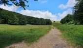 Tocht Stappen Chamaloc - RA Rocher de Chironne - Photo 1