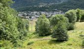 Tour Wandern Saint-Lary-Soulan - St Lary - Eget village - Photo 14