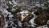 Tocht Stappen Lepuix - Ballon d'Alsace - rando raquettes Etang du Petit-Haut - Ballon d'Alsace - Etang des Roseaux - Cascade du Rummel - Photo 9