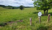 Tocht Stappen Houffalize - Engreux 080625 - Photo 2