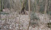 Trail Walking Saint-Pierre-de-Cormeilles - St Pierre de Cormeille - Photo 11