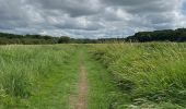 Randonnée Marche nordique Vendays-Montalivet - Marais de la Perge - Photo 16