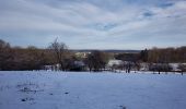 Tour Wandern Couvin - Promenade de la Butte - Couvin - Photo 6