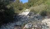 Tour Wandern Roquefort-la-Bédoule - Roquefort la Bédoule-Tête du Douard-Gorges de la petite Ste Baume - Photo 5