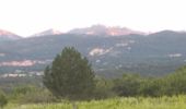 Trail Walking Bédoin - MT Ventoux ST Colombe 15 juin 2021 (IBP 132) CAF - Photo 12