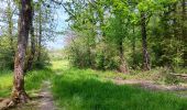 Trail Walking Durbuy - Petit-Han ... l Trail Walking Durbuy - Petit-Han ... l