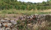 Tour Mountainbike Meursault - Meursault Auxey-Duresse  - Photo 9