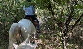 Trail Horseback riding Simiane-la-Rotonde - Provence 2025 J4 - Photo 18