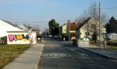 Tour Zu Fuß Unbekannt - Bibergehege-Rundweg (Forsthaus-Rundweg) - Photo 3