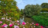 Randonnée Marche Tubize - Balade à Tubize - Photo 11