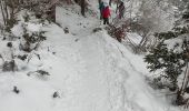 Trail Snowshoes Villard-de-Lans - de l'eau - Photo 2