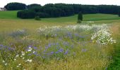 Tocht Te voet Gomadingen - Donnstetten - Feldstetten - Photo 1