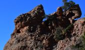 Tour Wandern Mandelieu-la-Napoule - Mandelieu - Chapelle St Jean - Baisse Violette - Suvières - Marsaou - Col des 3 Termes - Oeufs de Bouc - Photo 7