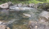 Trail Trail Petit-Bourg - INRA  - Photo 10