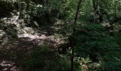 Trail Walking Pontgibaud - LA CHEIRE DE PONTGIBAUD - Photo 14