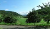 Trail On foot Schuttertal - Am Winterberg - Am Kapellenberg - Photo 10