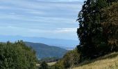 Tocht Stappen Kirchberg - Lochberg ferme auberge - Photo 1